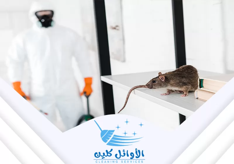  فني مكافحة فئران بنجارن الذي يستعد للتعامل مع القوارض في المنطقة.